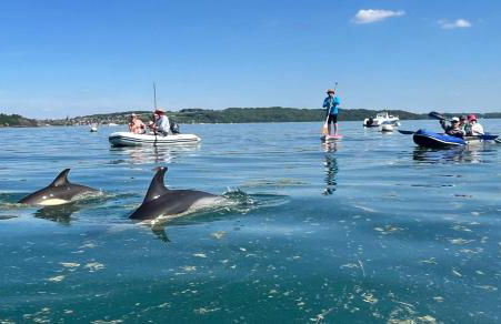 La Ptite Maison du Minihic - Foto 25
