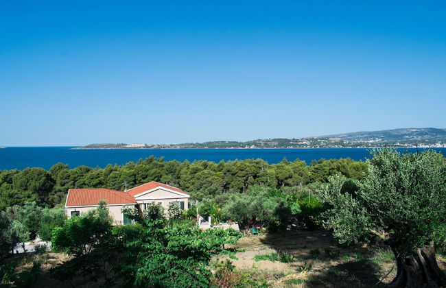 Seapine Studios - Foto 20