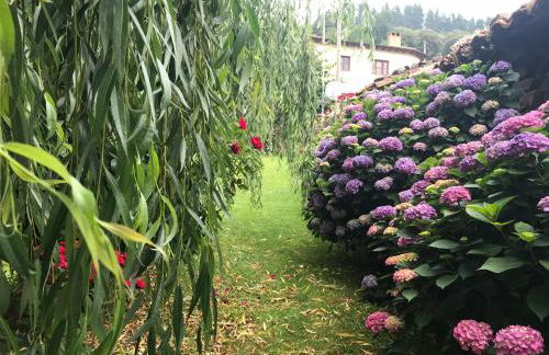 Apartamentos Alquitara - Photo 8