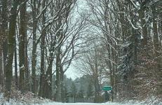 Domek Franianiesulice - Foto 67