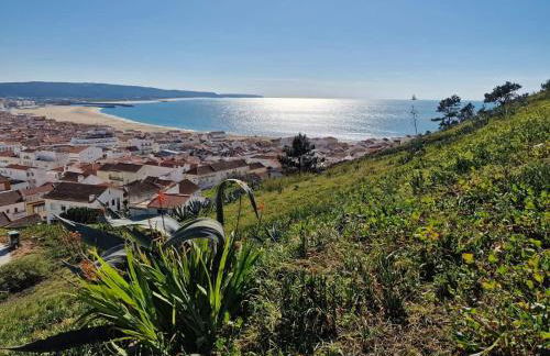 CANTINHO DAS FIGUEIRAS - Foto 46