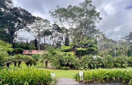 Aloha Junction Bed and Breakfast -Minutes away from Hawaii Volcanoes National Park - Foto 16