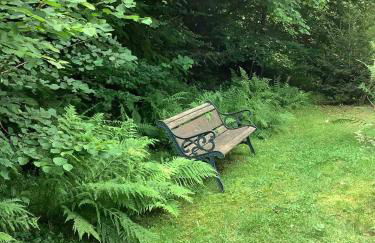 Woodland Cottage - Foto 18