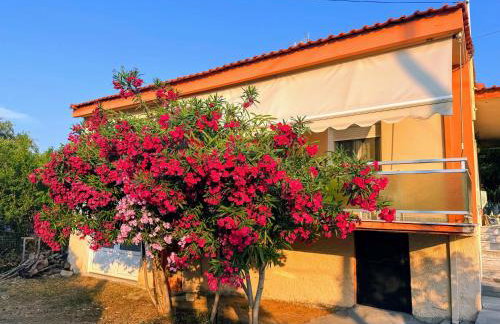 Alex house Thassos - Foto 27