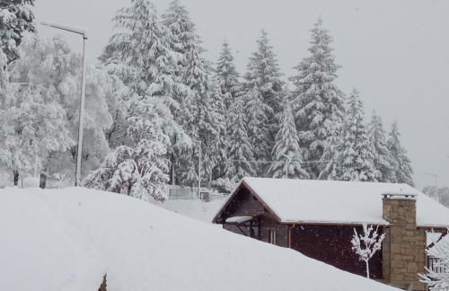 Quinta OUTONO DOURADO - Foto 32