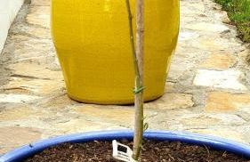 Sondela Self Catering - Foto 12