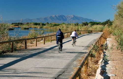 Maison Jardin Wifi - Climatisation - 100 m plage sauvage - 20 min Perpignan - Foto 28