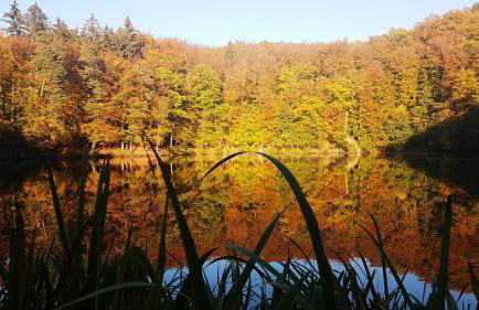 Ferienhaus am Badesee Schönsee Bungalow 12 - Foto 26