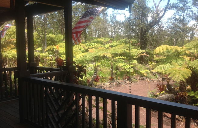 Volcano Rainforest Lodge - Foto 68