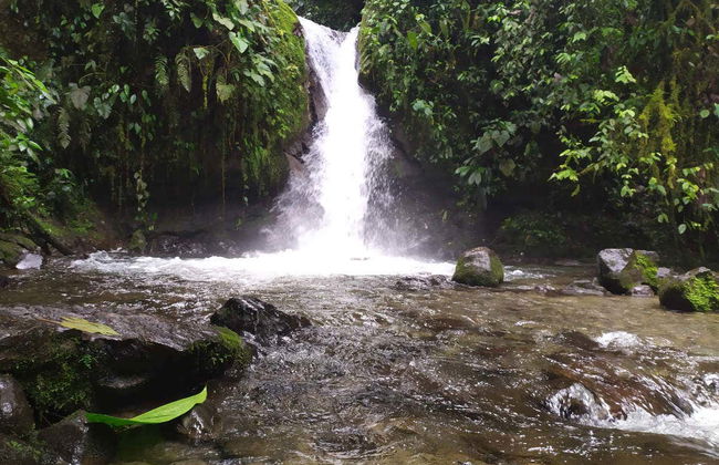 Mindo Day Trip - Photo 2