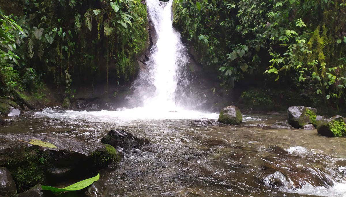 Mindo Day Trip - Foto 1