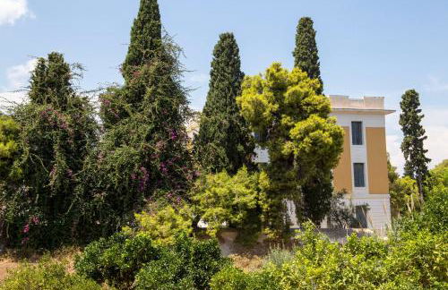villa aneme Spetses - Photo 45