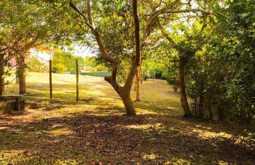 Studios Verdes hospedagens - Photo 58