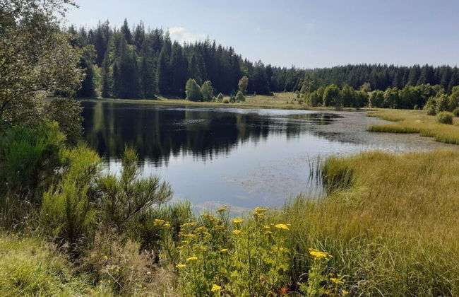 Haus Wiesenblick Comfortable Holiday Residence - Foto 11