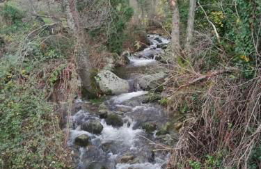 APTO RURAL FRAGARIA - VALLE DEL AMBROZ - entorno natural único "ALQUILER FAMILIAR" - Foto 31