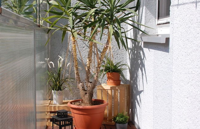 Apartments Peter - Foto 33