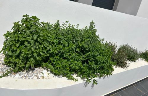 Onar seaside experience - Foto 79