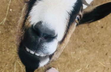 Agriturismo La Montina - Foto 40