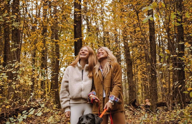 Postcard Cabins Machimoodus, Outdoor Collection by Marriott Bonvoy - Foto 69