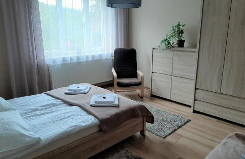 Apartamenty ,,Trzy Sosny'' Rymanów-Zdrój - Foto 7