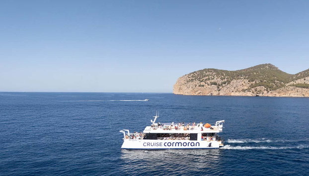 Dolphin Watching in South Mallorca - Photo 4, You'll love it!