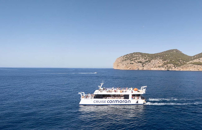 Avistamiento de delfines en el sur de Mallorca - Foto 6