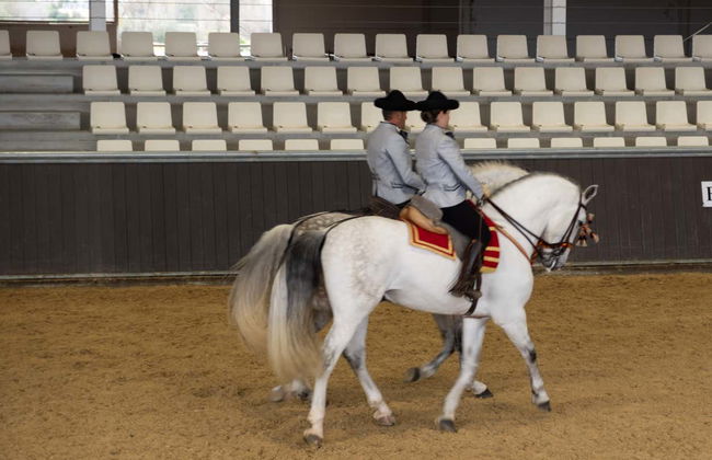 Spectacle équestre à Carmona - Photo 4