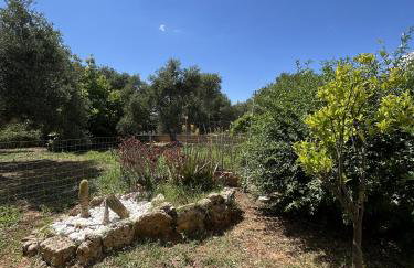 Margaret's House - Foto 17