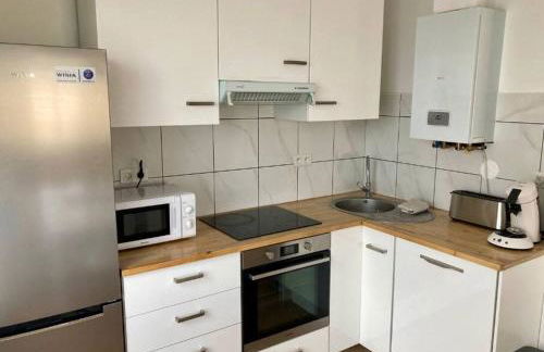 Grand appartement proche Cité de l'Espace - Photo 7