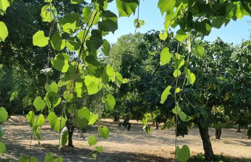 La Provençale - Foto 29