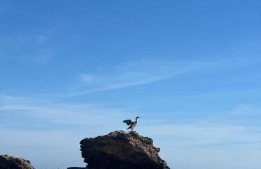 Heavenly Homes Mojacar 75 - Photo 9