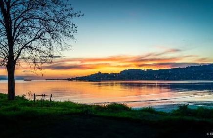 Casa Playa Meira - Photo 31