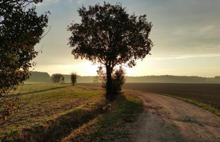 FeWo Schöna45 - Foto 6