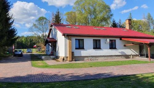 Newland Wójtowicz - Foto 4