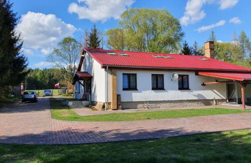 Newland Wójtowicz - Foto 4