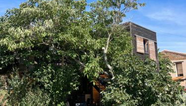 campdebaseventoux, vue sur le ventoux insolite - Photo 2
