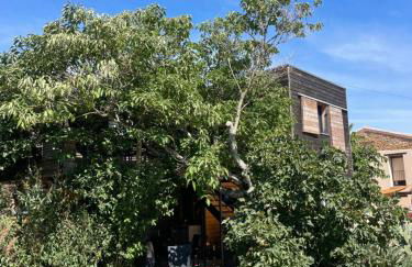 campdebaseventoux, vue sur le ventoux insolite - Foto 1