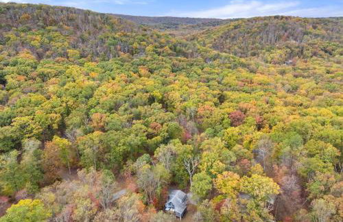 Wooded Chalet w Hot Tub & Indoor Pool, Gym Access - Foto 66