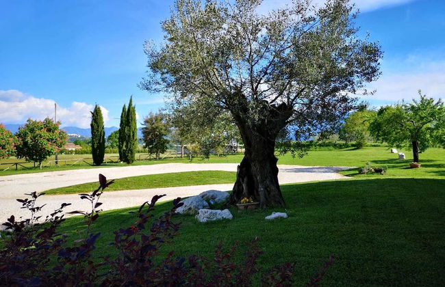 Agriturismo di charme Erbadoro - Photo 42