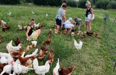 Landkulturhof Glücksbringer - Foto 31