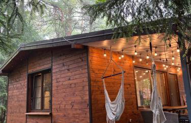 Sosnowy Strumyk - Foto 1