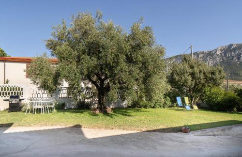 Domo Bonaeras - Photo 23