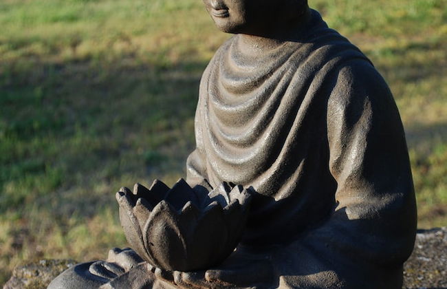 Ferienwohnung auf Pferdehof bei Neustadt - Foto 29