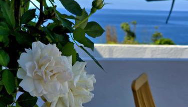 Cottage Cantinho da Quinta - Photo 2