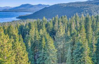 The Haus of Pine A Vintage Tahoe Cabin - Foto 27