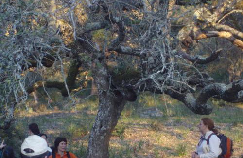 casa del gastronomo - Foto 46