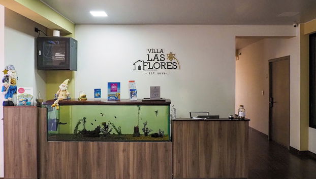 Villa Las Flores - Foto 5, Recepción