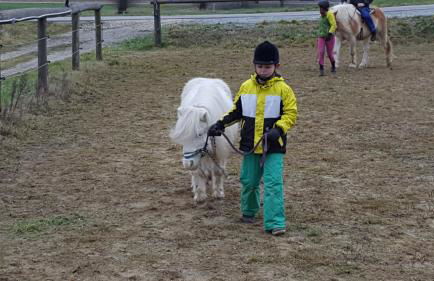 Reiterhof vom Litzlbach - Foto 59