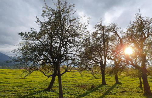 Bergeblick Bichl an der Ludlmühle - Foto 7
