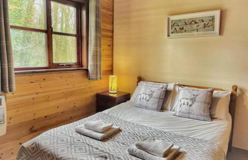 Shrew Lodge-woodland Lodges-Hot Tub-Pembrokeshire-Tenby - Foto 10